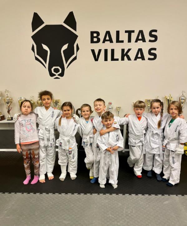 Baltas Vilkas
